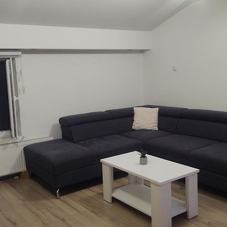 Apartman Big Novi Sad Dış mekan fotoğraf